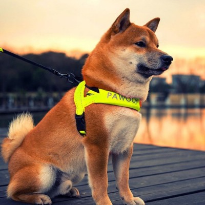 2019 Popular Reflective Dog Harness Nylon Pet Belt for outdoor